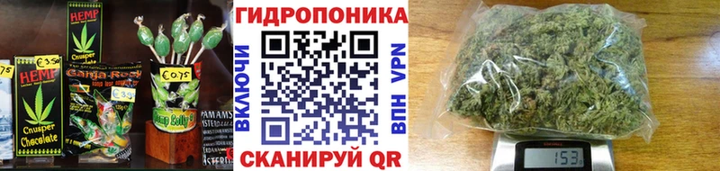 это наркотические препараты  Новый Уренгой  Cannafood марихуана 