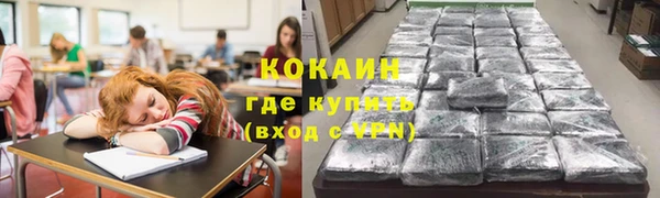 дживик Бородино