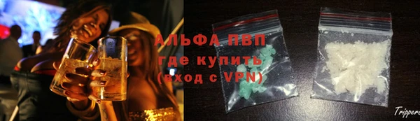 дживик Бородино