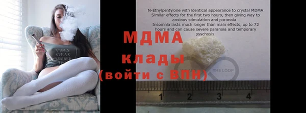 дживик Бородино