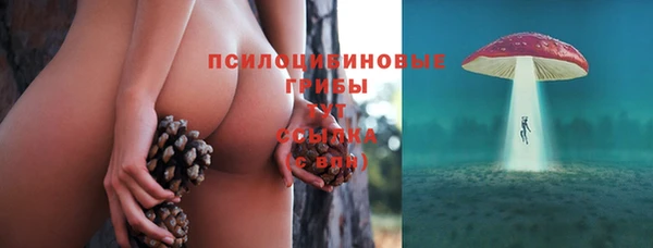 дживик Бородино