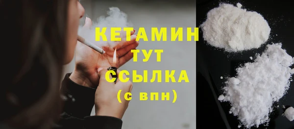дживик Бородино