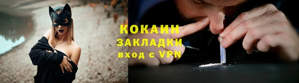 дживик Бородино