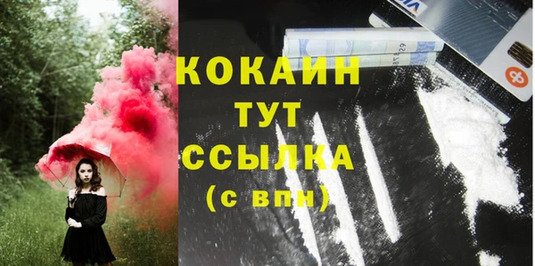 дживик Бородино