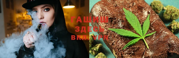 дживик Бородино