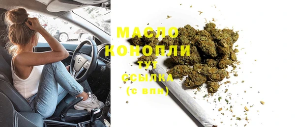дживик Бородино