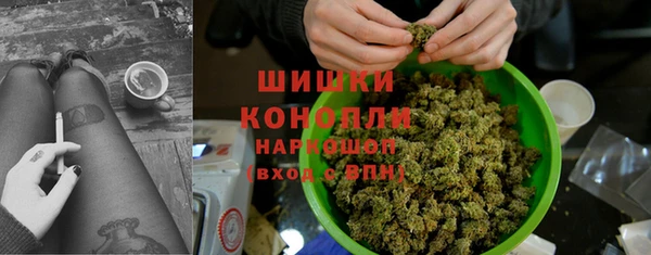 дживик Бородино