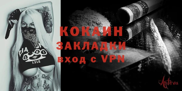 дживик Бородино