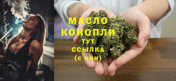 дживик Бородино