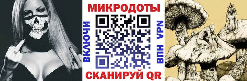 наркотики Новый Уренгой Галлюциногенные грибы MAGIC MUSHROOMS